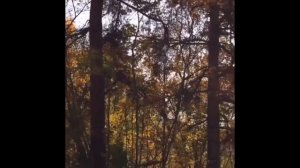 Усадьба Я.Е Башкирова . Нижегородская обл .