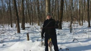 Традиционный китайский лук от Лучной Фактории. Обзор.