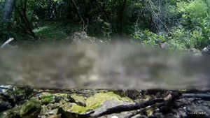 Водопад Радужный. Калужская область.