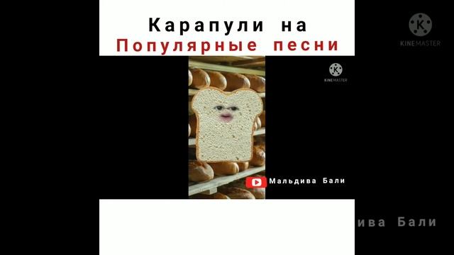 Карапули на популярные песни(короткие смешные песни)..Замучу я с прокурором