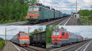 Грузовые поезда на юге БМО под ВЛ10у, ВЛ11 и 2ЭС6 | 309 км