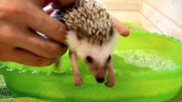 Первая мойка Ёзи смотреть онлайн