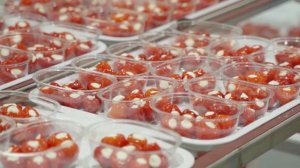 MEGGLE ANTIPASTI процесс производства