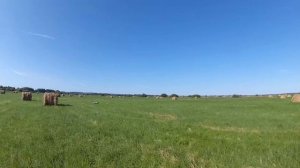 Красивая охота с легавой. 10.08.2018. Дупель.