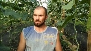 Кураж f1, итог сезона 2019