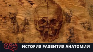 История развития анатомии Подготовка к ЕГЭ Подготовка к ОГЭ