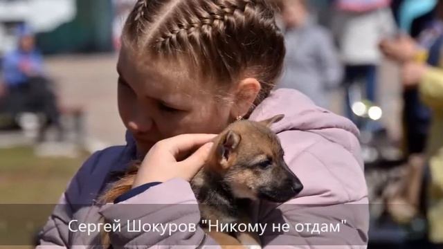 Виртуальная выставка «Путешествие в страну детства», посвященная Дню защиты детей смотреть онлайн