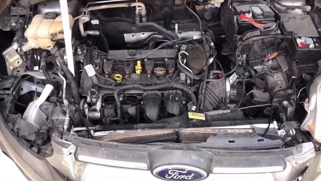 Front End Repair - 2014 Ford Focus pt.1 смотреть онлайн