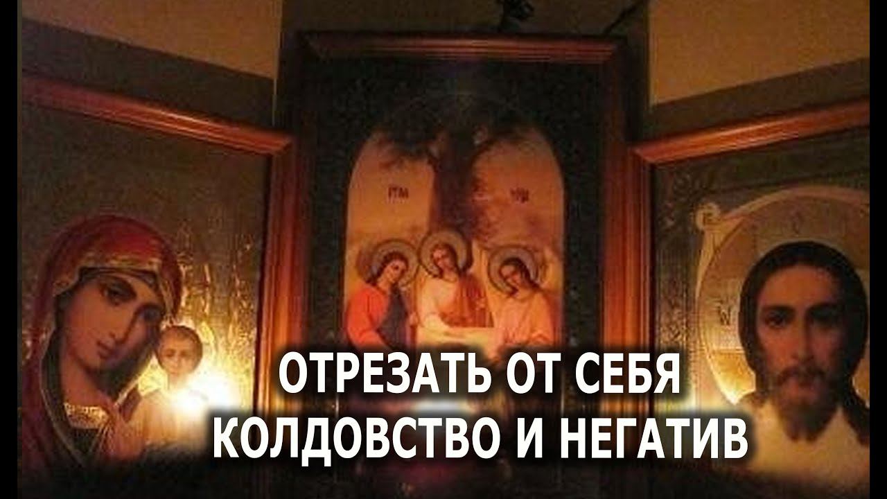 Тамарис таро щит последние расклады