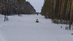 Снегоход Стелс 800 и Ямаха Викинг 540 вату не катаем..