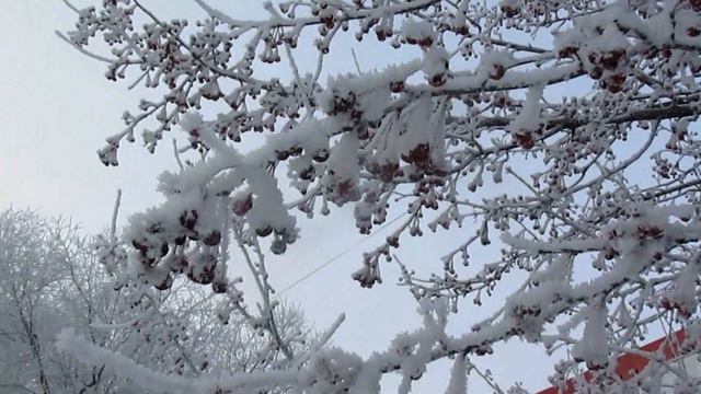 Костанай Прощай осень. здравствуй зима! смотреть онлайн