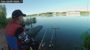 ПОКЛЕВКИ ЧЕХОНИ , ЧТО НЕ  УСПЕВАЕТ ПАДАТЬ КОРМУШКА !ЧЕХОНЬ НА ФИДЕР! ЧЕХОНЬ НА ПЕНОПЛАСТ! РЕКА ШАЧА