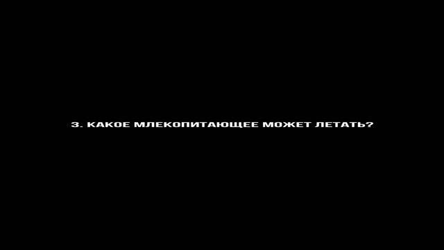 Квиз 22. Непростые вопросы. Ответьте хотя бы на один