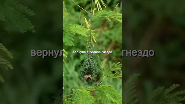 Маленькая помощь или большой совет. История смыслом. Мудрые слова.