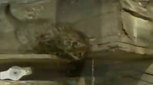 Чернобыль. Жизнь в Наши дни. Чернобыль сегодня!!!!!