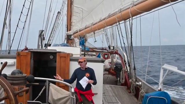 Cape Cod Bay: A Critical Feeding Area смотреть онлайн