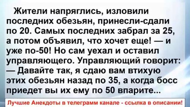 Анекдоты до слёз!