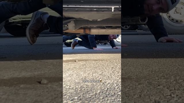 VID-20231221-WA0118.mp4 смотреть онлайн