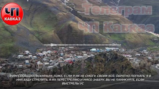 IMG_20221118_193820_177.MOV