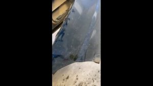 Ремонт арок civic 4d