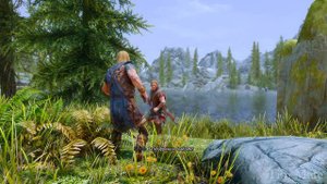 Skyrim ٠ Реакция Брата Бури на Имперца