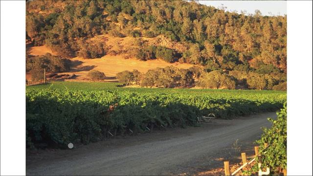 Cain Vineyards смотреть онлайн