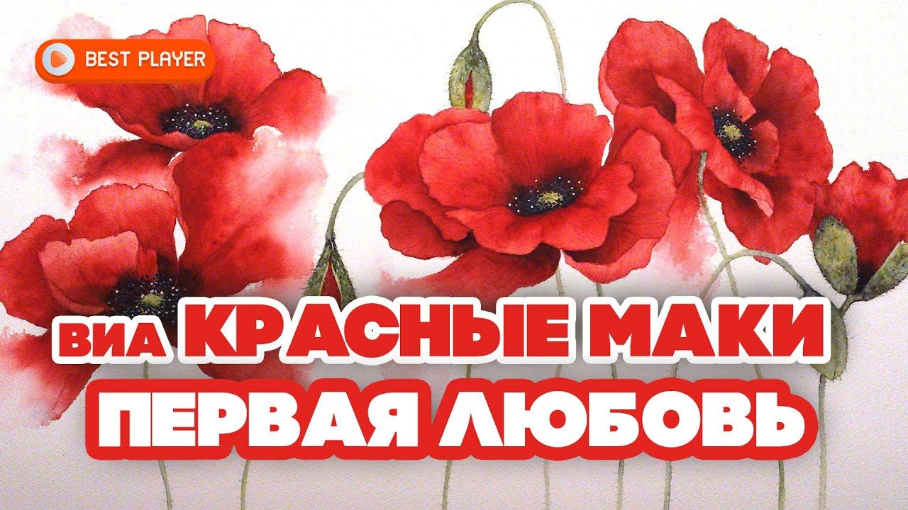 Песня про красные маки. Красные маки - 1977 - первая любовь. Гр Алые маки. Донбасс красные маки. Ансамбль красные маки.