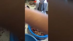 Купили мясорубку хозяюшка