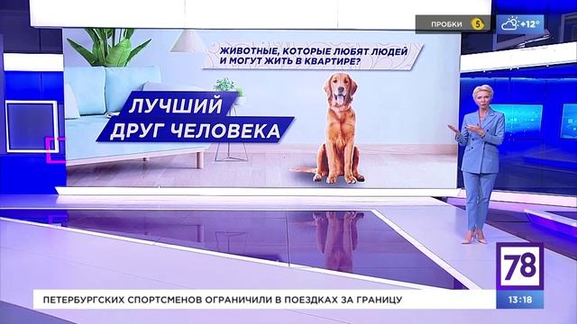 Программа "Известия ". Эфир от 05.10.2023