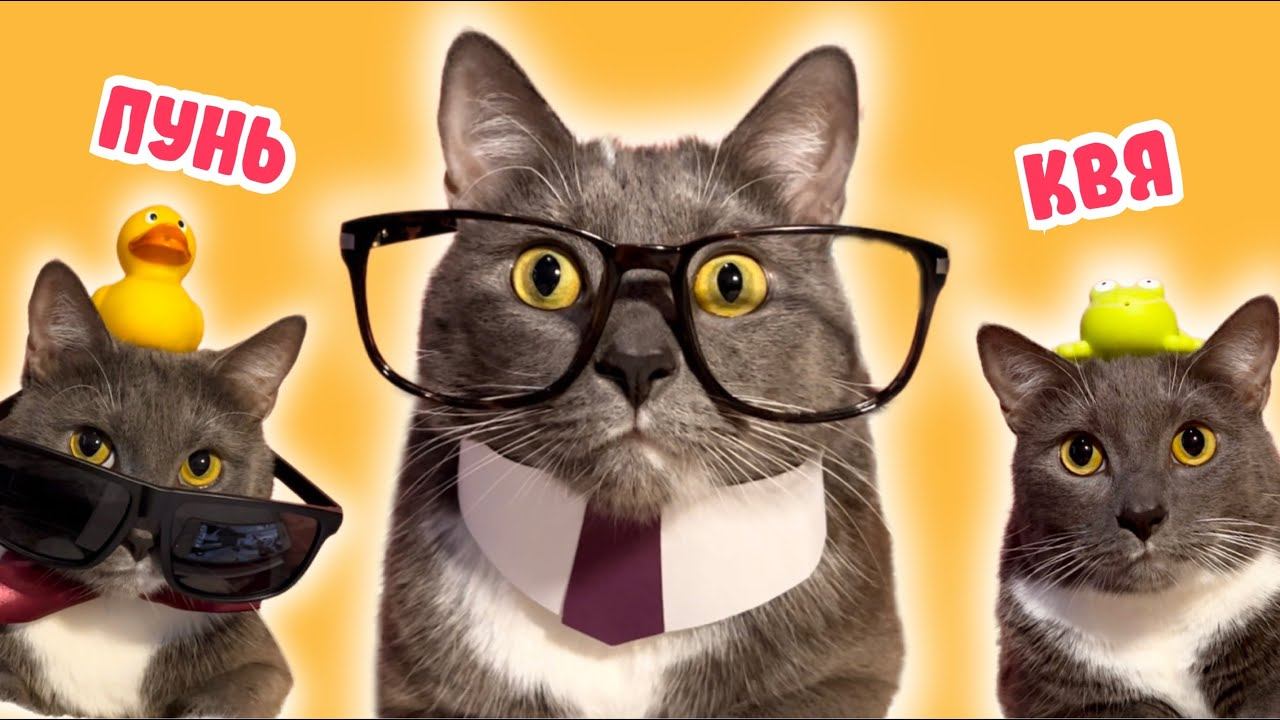 ЕСЛИ БЫ КОТИКИ ХОДИЛИ В ШКОЛУ - СБОРНИК ЛЮБИМЫХ СЕРИЙ - смотреть видео ...