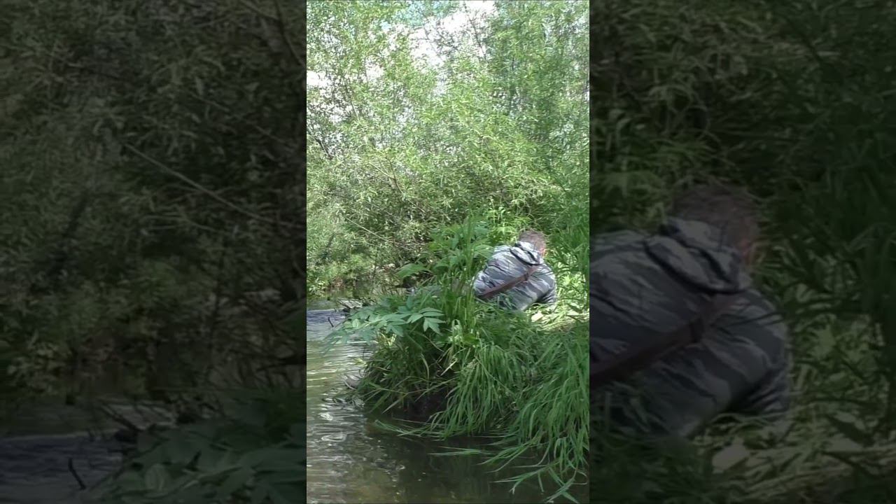 1455 АЗЫ РЫБАЛКИ в малых Реках #дмитрийяков #рыбалка #тайга #хариус #fishing #выживалово #охота #лес
