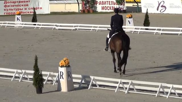Ксения Морозкина и Absolutly Fabulous (Furst Heinrich X Argentinus)