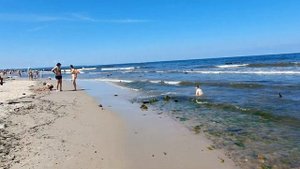 Зеленоградск - сковородка !#зеленоградск#кранц#курортроссии