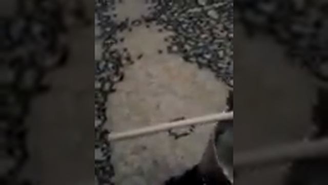 Делаем фондю смотреть онлайн