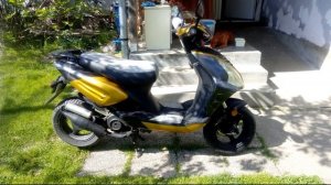 Baotian/Taotao bt49qt-12 Changing Appearance And Painting