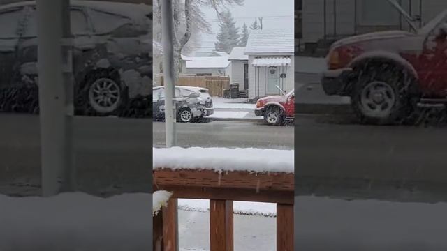 Snowing  in Wyoming in May