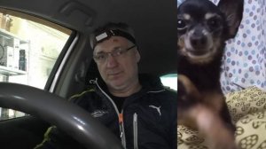 Ищем причину дерганья и плавания оборотов на Toyota Vitz