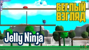 Jelly Ninja (PC) | Беглый взгляд