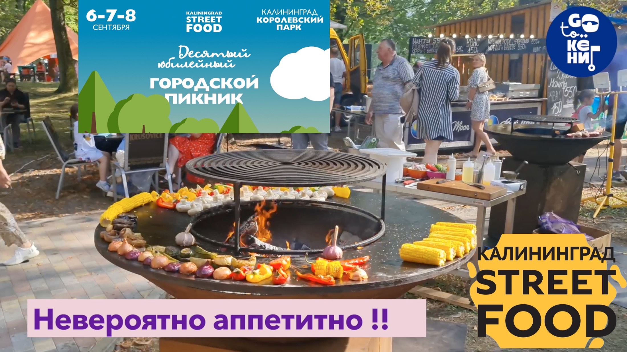 Кёниг 2024. Городской пикник №10.