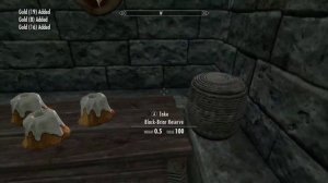 Skyrim New Dragonborn Glitch