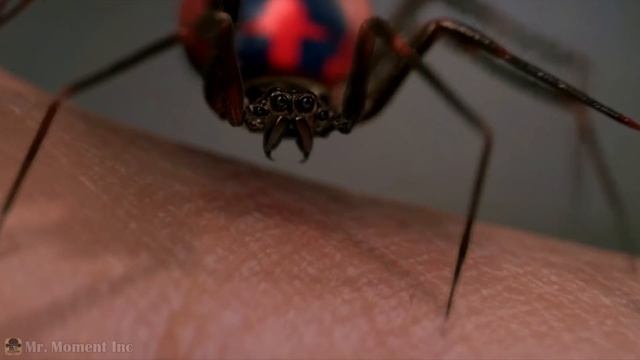 ? Почему ЧУТЬЁ ЧЕЛОВЕКА-ПАУКА СПИТ? Причина в усталости или...? смотреть онлайн