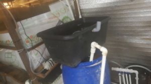 Убираю ошибки узв креветки розенберга