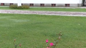 Александра Свирский монастырь