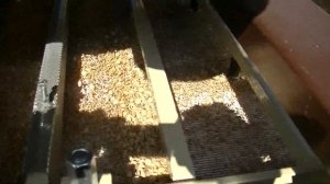 Очищающе-калибрующая машина Фадеева ОКМФ компакт /  Agro 2019