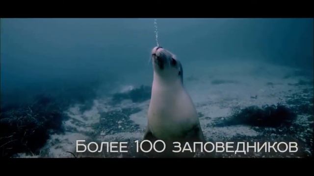 11 января день заповедников и национальных парков видео
