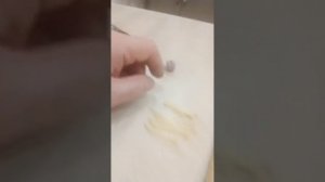 черви искусственные (для рыбалки)