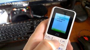 Обзор телефона ZTE R538. Кнопочный телефон 2017 года. Дешевый мобильник с хорошей батареей.