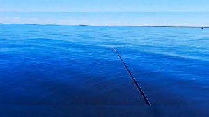 Рыбалка на Белом море. Навага, корюх, камбала.