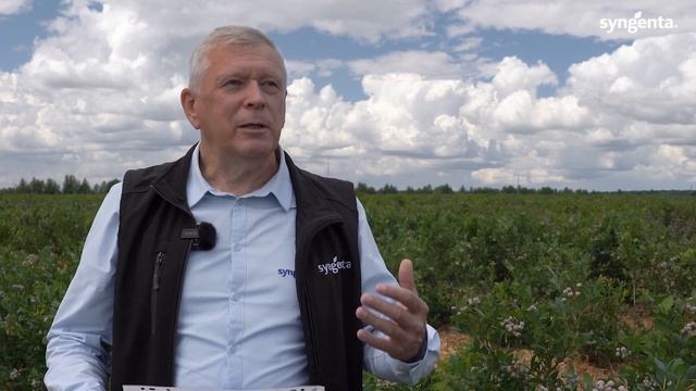 Опытное применение фунгицидов на голубике смотреть онлайн