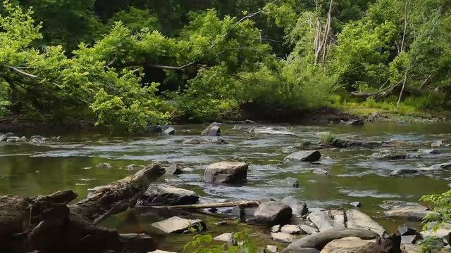 Успокаивающая, природная музыка с лечебными свойствами, для медитации, музыкальной терапии, сна смотреть онлайн